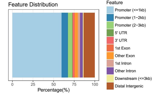 学员分享-Chip-seq 实战分析流程_第16张图片