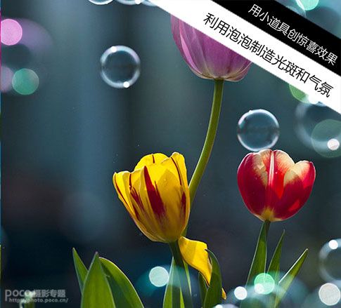 创意花卉摄影技巧实例教程_第8张图片