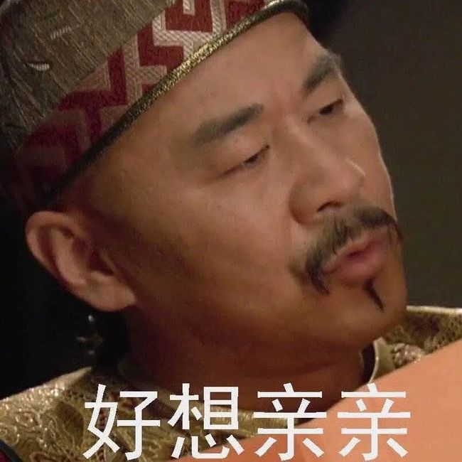 这些天,我不小心活成了《甄嬛传》_第31张图片