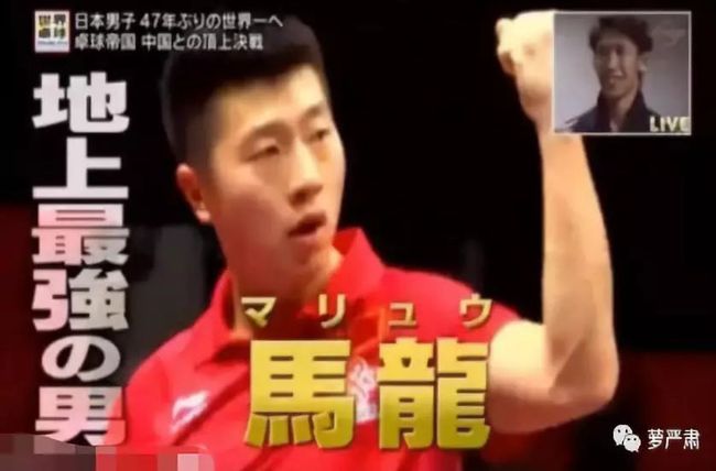 人间沙雕,还是人间清流_第17张图片