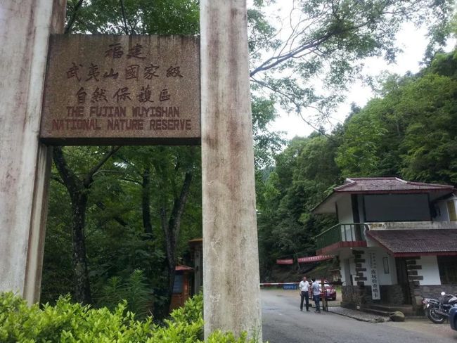 众筹丨最后的告别茶——传统松木烟熏正山小种,难再现的“松烟香、桂圆汤”_第23张图片