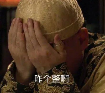 这些天,我不小心活成了《甄嬛传》_第39张图片