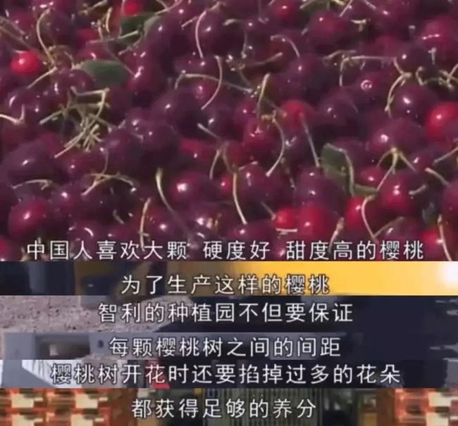 当中国人停下筷子,全世界都“疯”了……_第13张图片