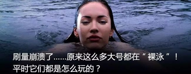 逼死直播元祖Meerkat的,是Twitter、Facebook,还是被高估的移动直播市场?_第7张图片