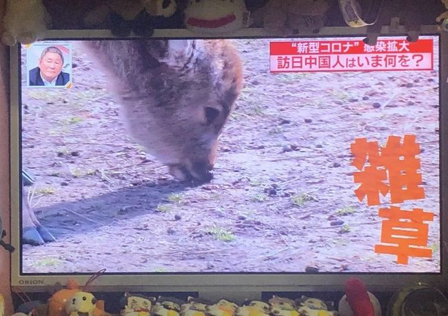 当中国人停下筷子,全世界都“疯”了……_第22张图片