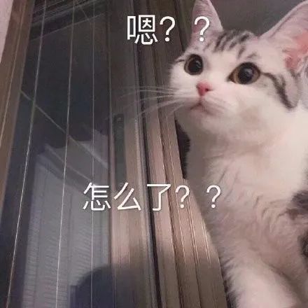 选来选去,还是他们最美!_第2张图片