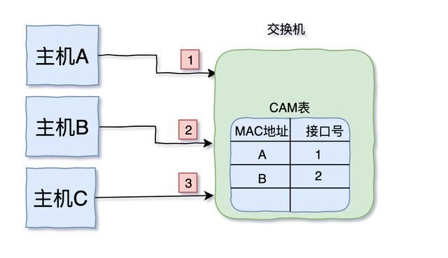 三天两夜肝完这篇万字长文，终于把TCP/IP协议讲透彻了