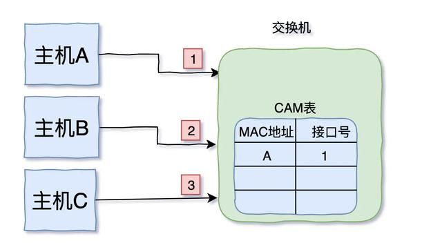 三天两夜肝完这篇万字长文，终于把TCP/IP协议讲透彻了