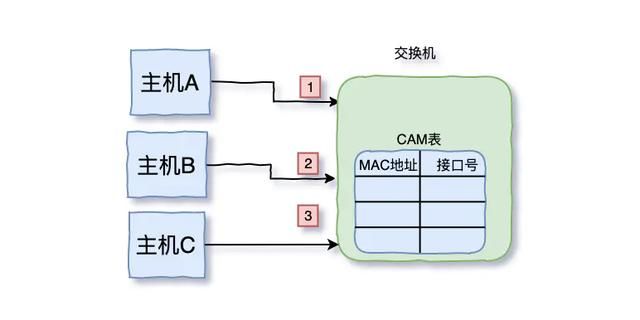 三天两夜肝完这篇万字长文，终于把TCP/IP协议讲透彻了