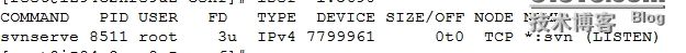 wKiom1VRW1vjZiIEAACVrUQpKC0662.jpg