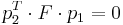 p_2^T \cdot F \cdot p_1=0