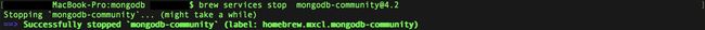 mg-stop-mongodb-service.jpg
