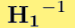 H1-1
