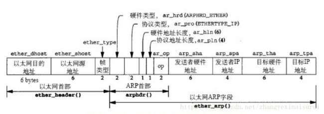 arp报文格式