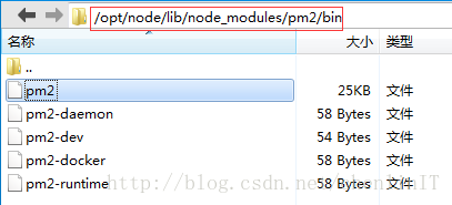 pm2路径