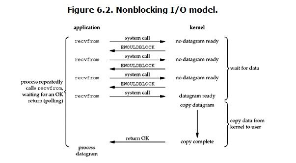 bio1