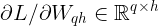 \large \partial L / \partial W_{qh}\in \mathbb{R}^{q\times h}