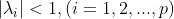 |\lambda _i|<1,(i=1,2,...,p)