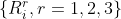 \left \{ {R_i^r, r = 1,2,3} \right \}