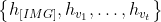 \left\{h_{[I M G]}, h_{v_1}, \ldots, h_{v_t}\right\}