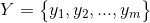 Y=\begin{Bmatrix} y_{1},y_{2},...,y_{m} \end{Bmatrix}