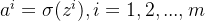 a^{i}=\sigma (z^{i}),i=1,2,...,m