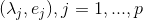 (\lambda _{j},e_{j}),j=1,...,p