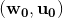 \mathbf{(w_0,u_0)}
