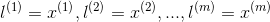 l^{(1)}=x^{(1)},l^{(2)}=x^{(2)},...,l^{(m)}=x^{(m)}