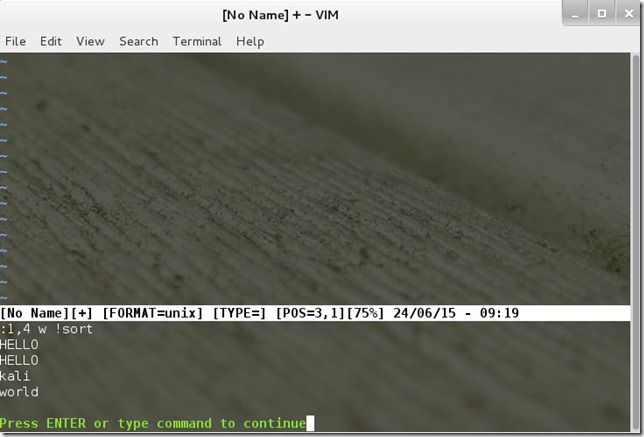 vim6