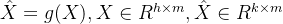 \hat{X}=g(X),X\in R^{h\times m}, \hat{X}\in R^{ k \times m}