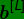 \bg_green \fn_phv \dpi{120} \bg_green \textbf{\textit{b}}^{[L]}