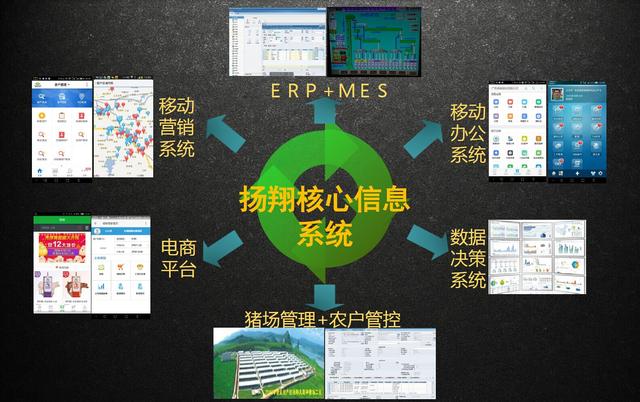 如何围绕业务特性，做企业信息化？