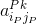 a^{Pk}_{i_Pj_P}