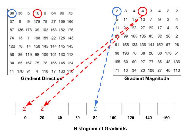 图像学习之如何理解方向梯度直方图（Histogram Of Gradient）