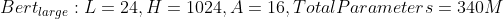 Bert_{large}:L=24,H=1024,A=16,TotalParameters=340M