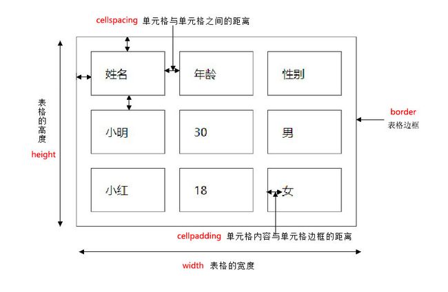 07table表格属性