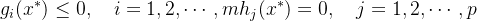 $ g_i(x^*) \leq 0, \quad i=1,2,\cdots,m\\ h_j(x^*) = 0, \quad j=1,2,\cdots,p $