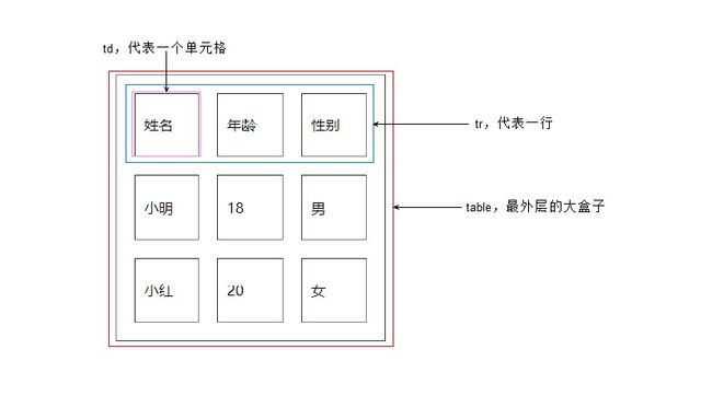 07table基本结构