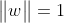 \begin{Vmatrix} w \end{Vmatrix}=1