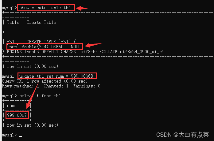 DOUBLE(7,4) 存储 999.00668 得到近似结果 999.0067