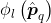 \phi_{l}\left(\hat{\boldsymbol{p}}_{q}\right)