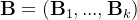 \mathbf{B} = ( \mathbf{B} _{1} ,..., \mathbf{B} _{k} )