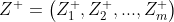 Z^{+}=\left ( Z_{1}^{+},Z_{2}^{+},...,Z_{m}^{+} \right )