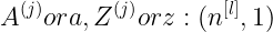 \large A^{(j)} or a,Z^{(j)} or z:(n^{[l]},1)