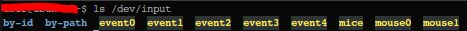 ls /dev/input