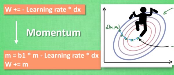 å éç¥ç»ç½ç»è®­ç» (Speed Up Training)