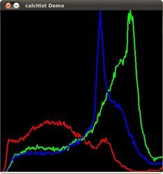 ../../../../../_images/Histogram_Calculation_Result.jpg