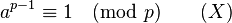 a^{p-1} \equiv 1 \pmod p \quad \quad (X)