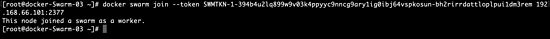 『高级篇』docker之DockerSwarm的集群环境搭建（28）